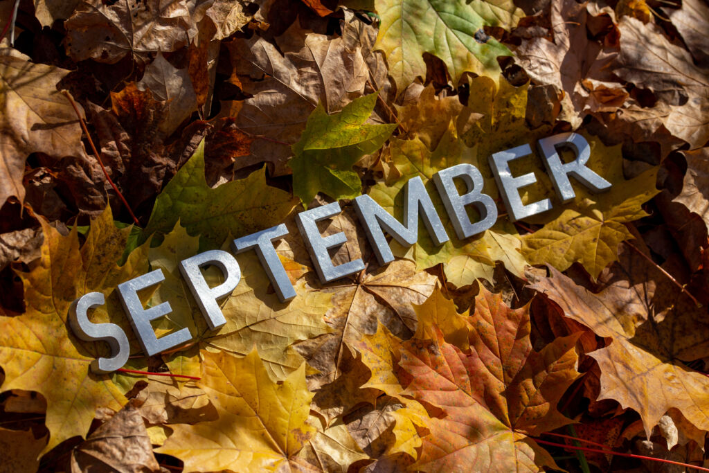 Tips for navigating sober September
