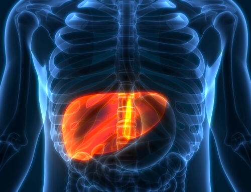 Alcohol-Related Liver Disease: Can the Damage Be Reversed?